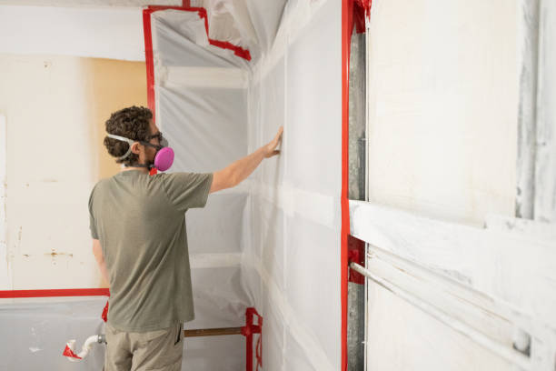 Reliable Berwick, LA Mold Removal Solutions